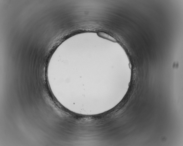 X0000111180589200908121113