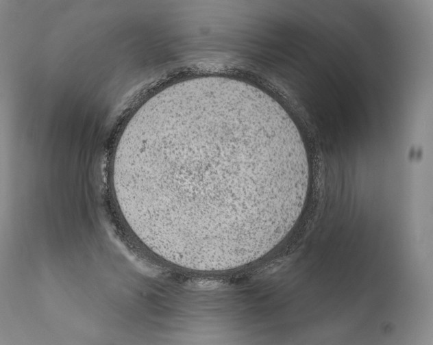 X0000111180590200908121113