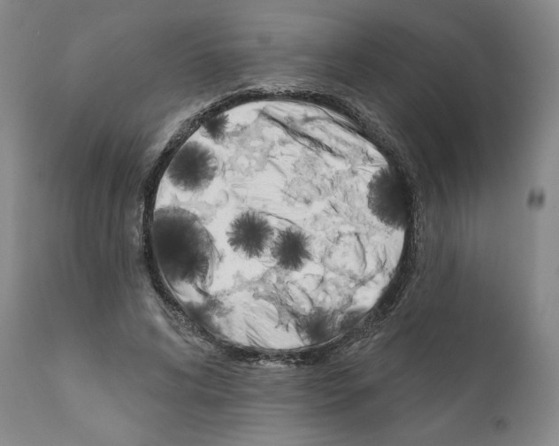 X0000111180592200908121113