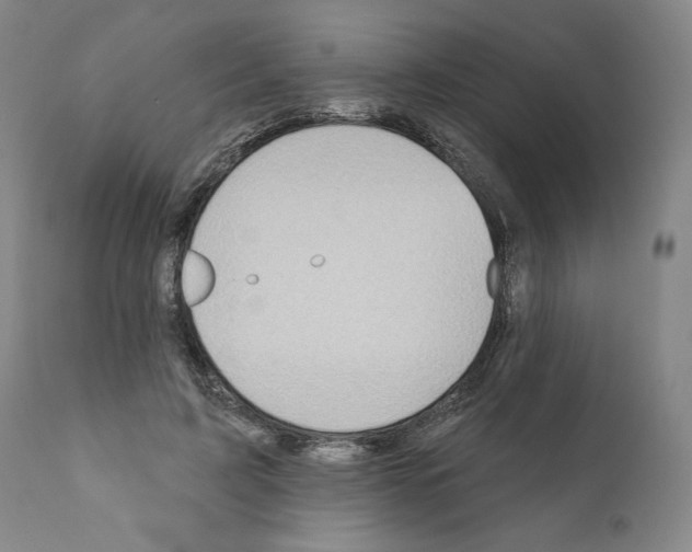 X0000111180595200908121113