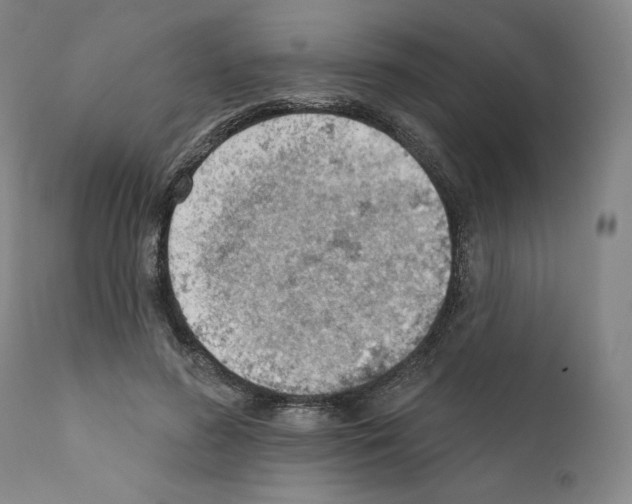 X0000111180596200908121113