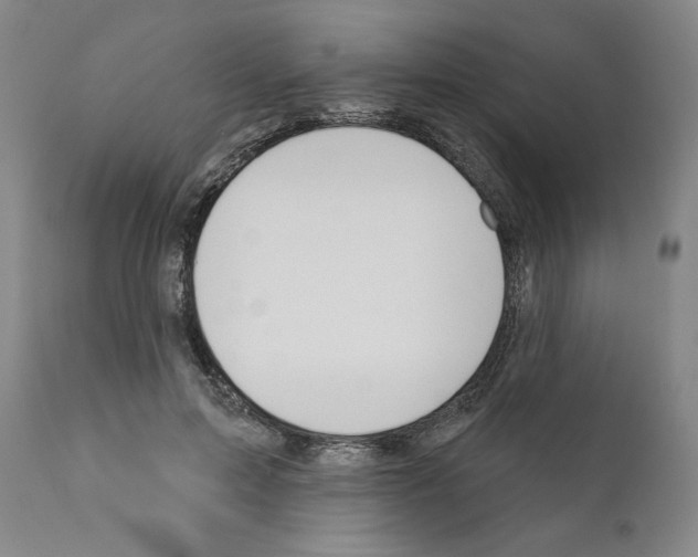 X0000111180599200908121113