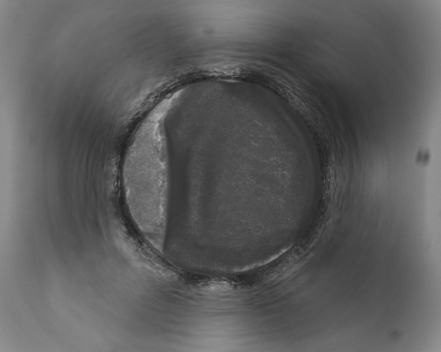 X0000111180600200908121113