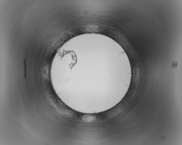 X0000111180602200908121113