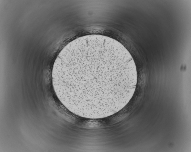 X0000111180604200908121113