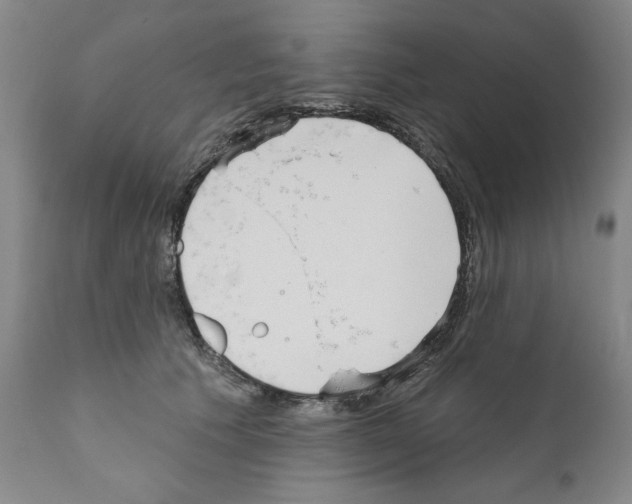 X0000111180609200908121113