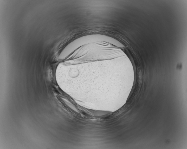 X0000111180617200908121113