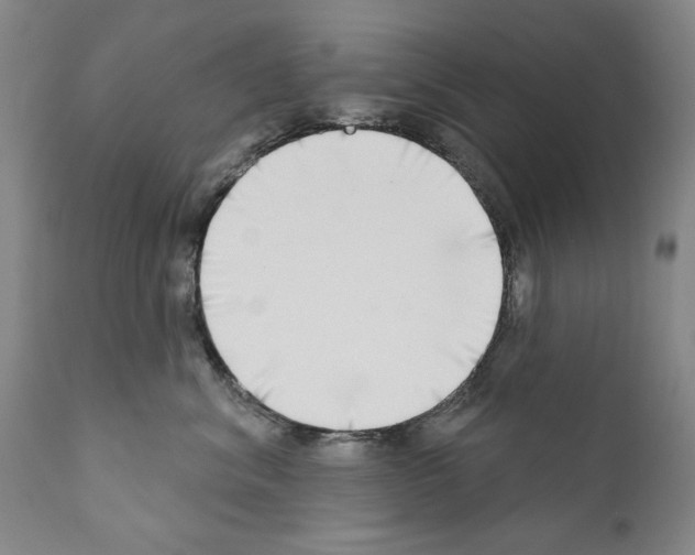 X0000111180620200908121113