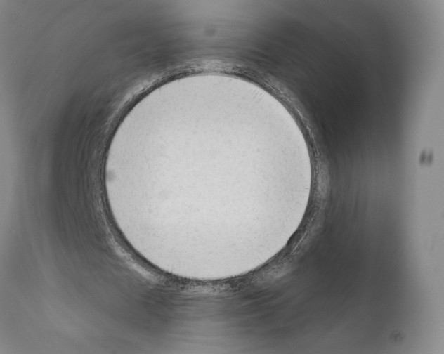 X0000111180625200908121112