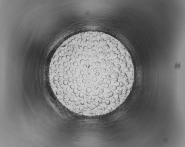 X0000111180626200908121112