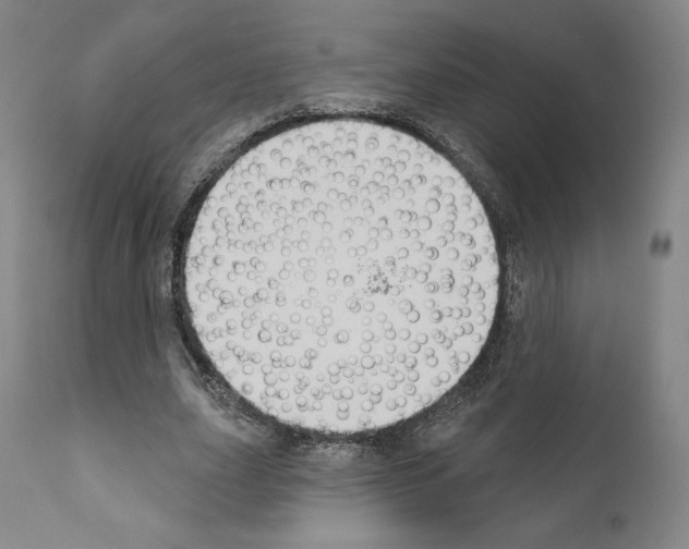 X0000111180631200908121112