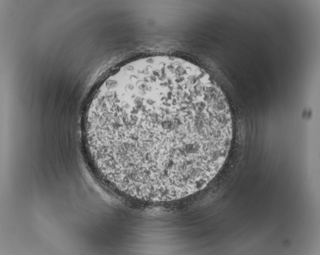 X0000111180634200908121112