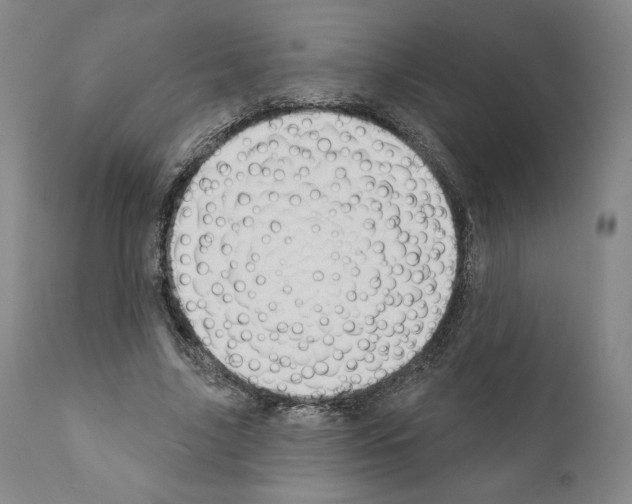 X0000111180635200908121112