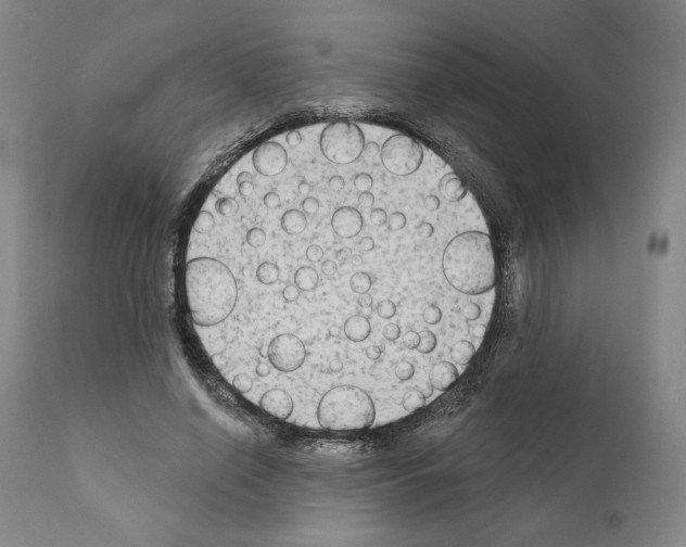 X0000111180638200908121112