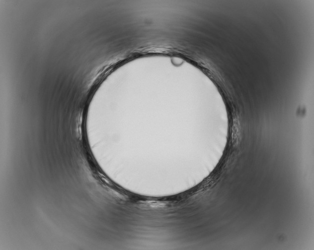 X0000111180640200908121112