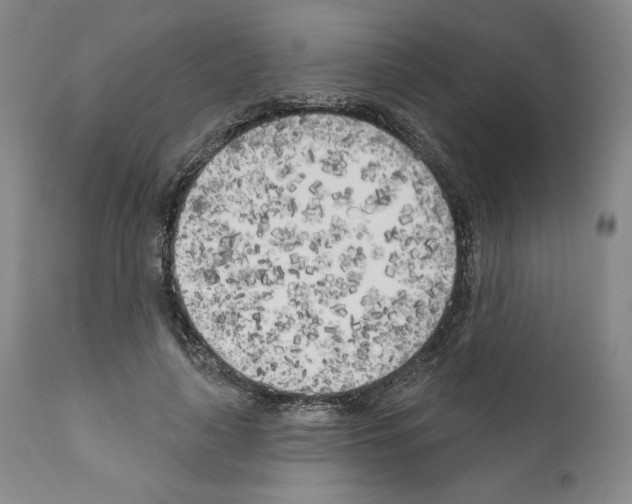 X0000111180643200908121112