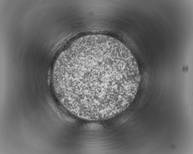 X0000111180644200908121112