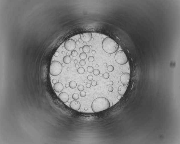 X0000111180646200908121112