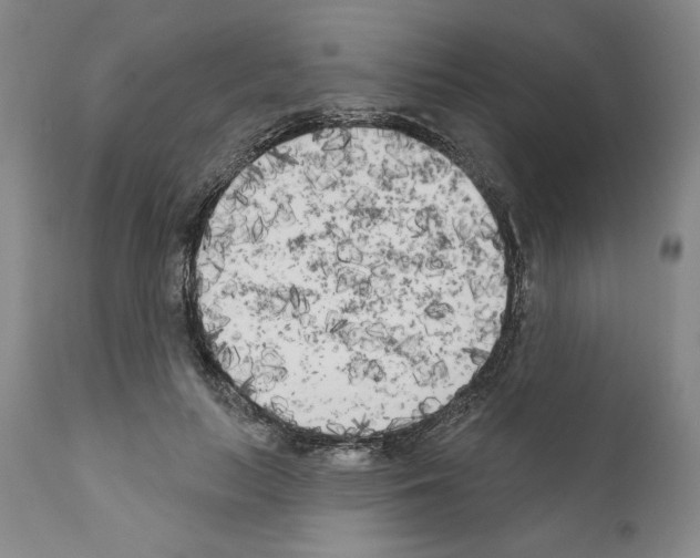 X0000111180647200908121112