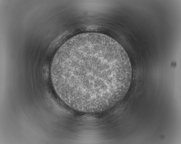 X0000111180648200908121112