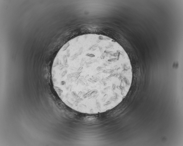 X0000111180651200908121112