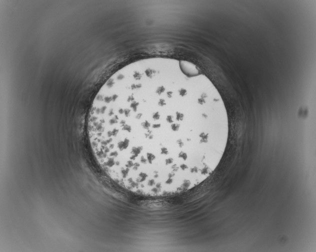 X0000111180652200908121112