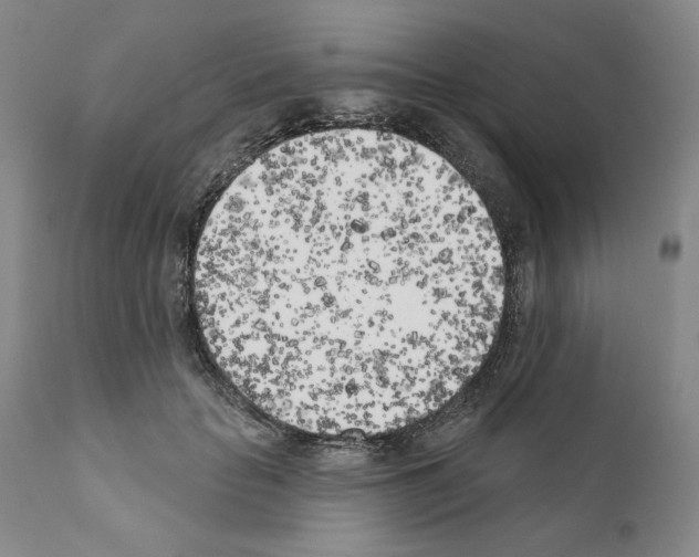 X0000111180653200908121113