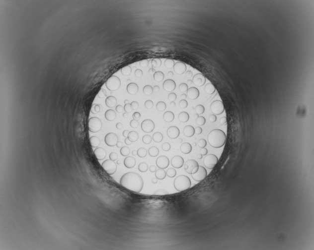 X0000111180654200908121113