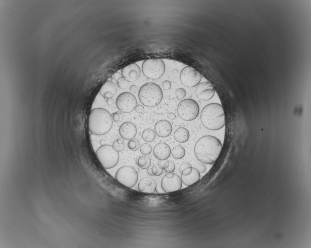 X0000111180662200908121113