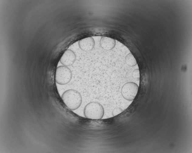 X0000111180666200908121113