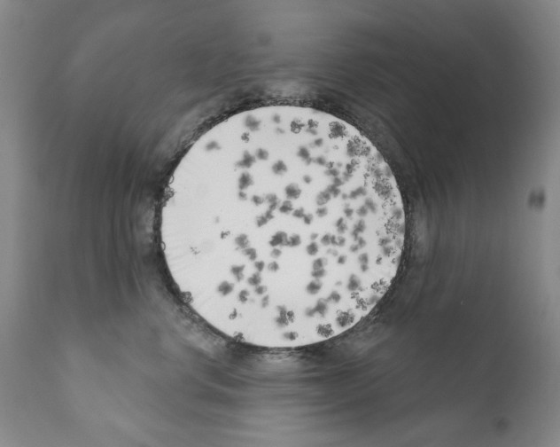 X0000111180668200908121113