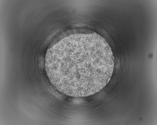 X0000111180669200908121113