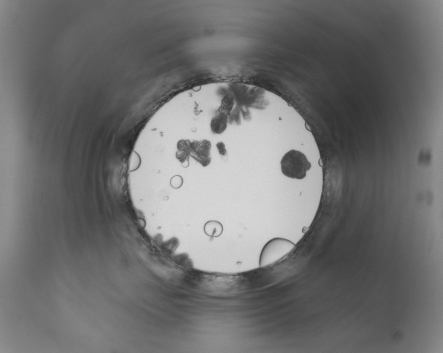 X0000111180671200908121113