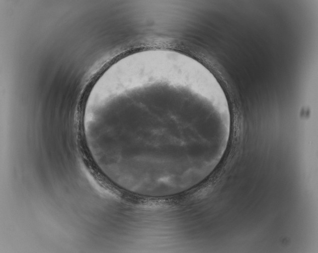 X0000111180674200908121112