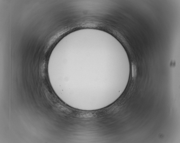 X0000111180675200908121112