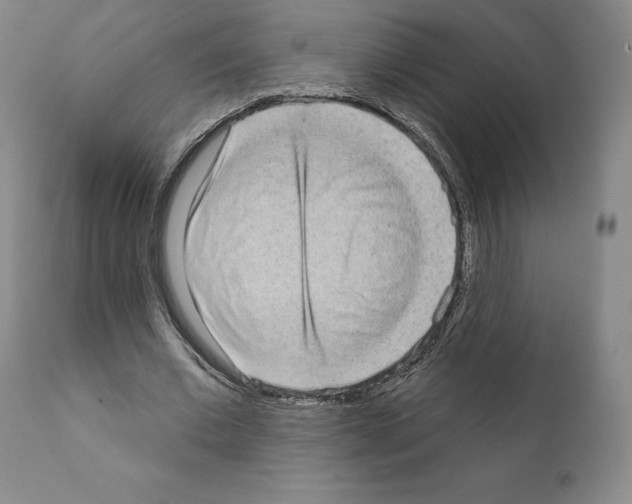 X0000111180677200908121112