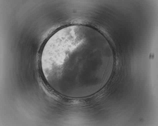 X0000111180678200908121112