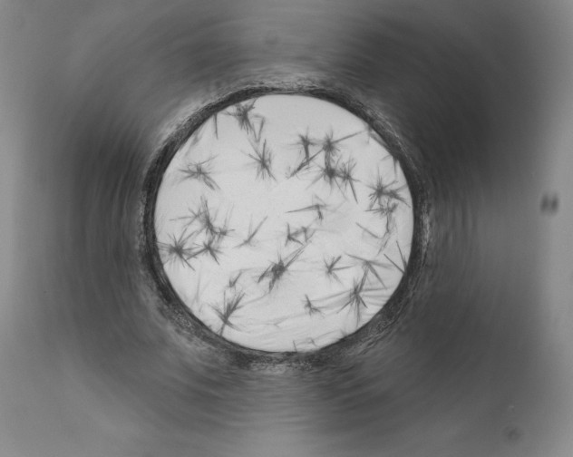 X0000111180679200908121112