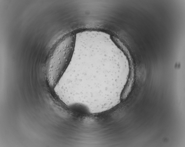 X0000111180684200908121112