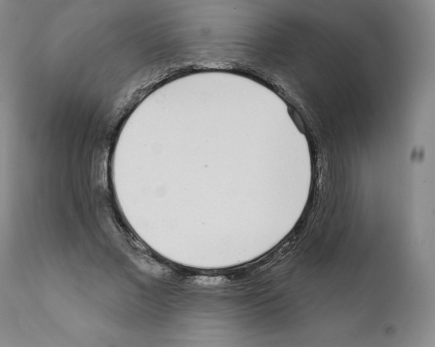 X0000111180685200908121112