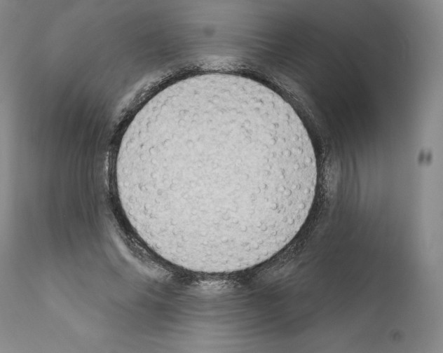 X0000111180686200908121112