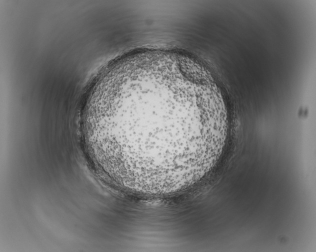 X0000111180688200908121112