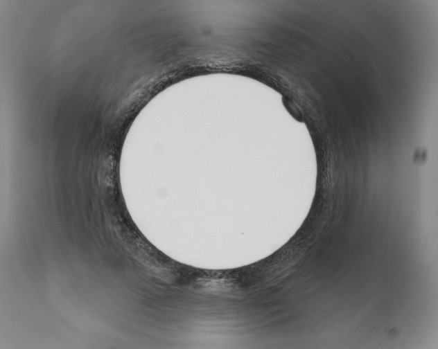 X0000111180689200908121112