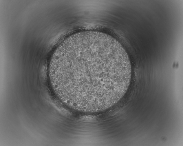 X0000111180691200908121112