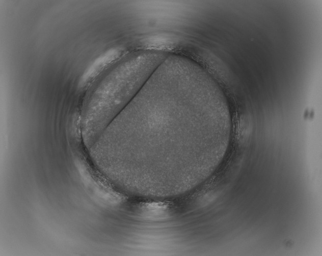 X0000111180692200908121112