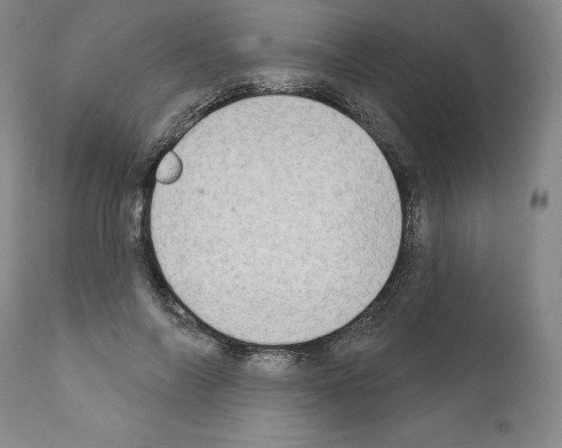 X0000111180694200908121112