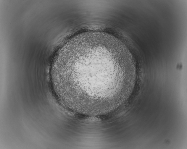 X0000111180696200908121112