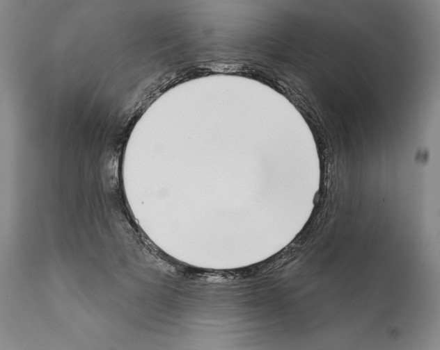 X0000111180697200908121112