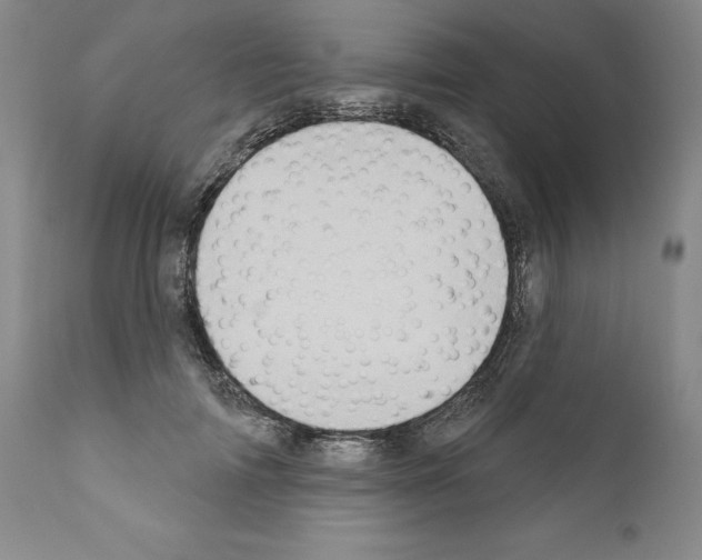 X0000111180698200908121112