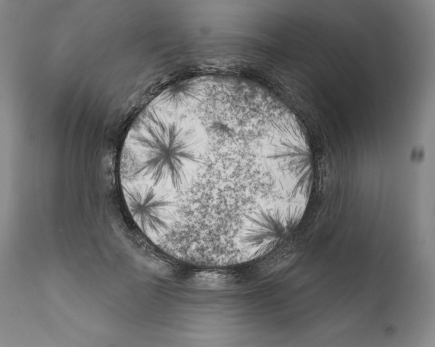 X0000111180699200908121112